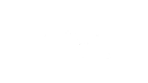 Assistir Discovery H&H ao vivo HD online grátis 24 horas